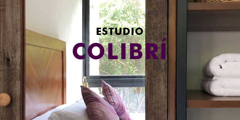 Estudio Colibrí