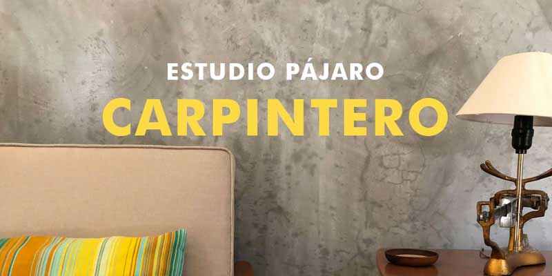 Estudio Pájaro Carpintero
