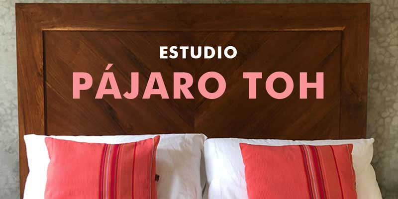 Estudio Pájaro Toh
